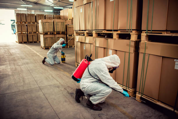 Best Mosquito Control Services  in Frenchtown, MT