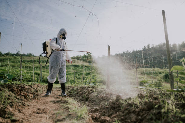 Pest Control Cost in Frenchtown, MT