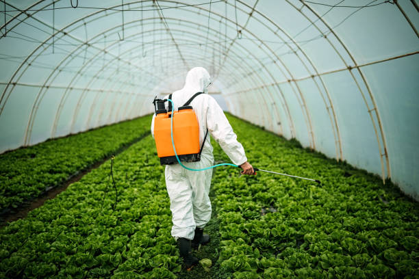 Best Residential Pest Control  in Frenchtown, MT