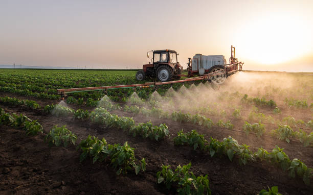 Best Ant Control Services  in Frenchtown, MT