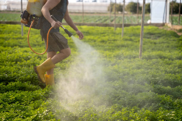 Best Pest Prevention Services  in Frenchtown, MT