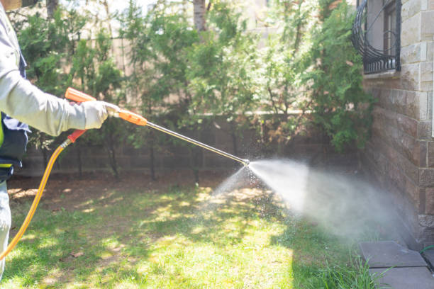Best Mosquito Control Services  in Frenchtown, MT
